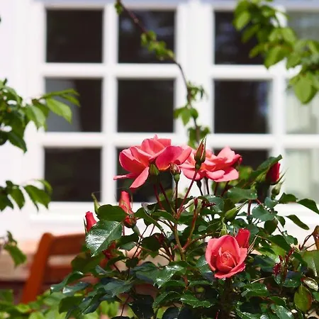 Apartament Meerlust *