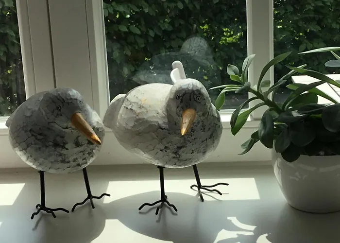 Meerlust * 斯匹科罗格